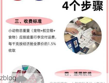 宠物空运流程以及收费标准(省钱托运的技巧)