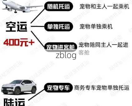 宠物空运流程以及收费标准(省钱托运的技巧)