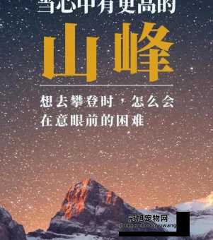2024年高情商句子(哪些句子能让你更受欢迎)