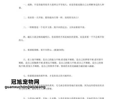 2024年高情商句子(哪些句子能让你更受欢迎)