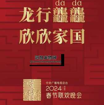 2024龙年叫什么辰年(有什么特殊意义)