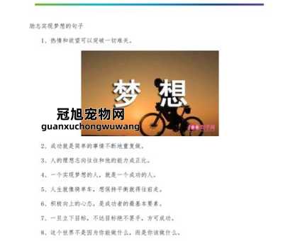 2024激励奋斗金句(让梦想照进现实)