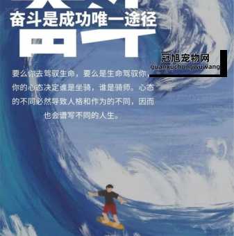 2024激励奋斗金句(让梦想照进现实)