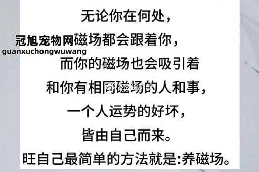 2024心态最火的句子(哪句最能打动你)