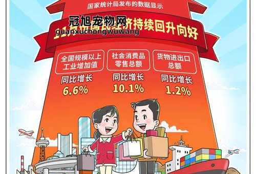2024的经济会好转吗(中国经济真的能持续回升吗)