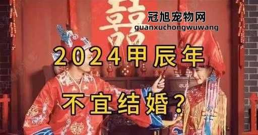 2024年无春能结婚吗(  民间传言是真的吗)