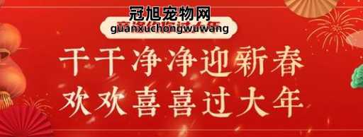 2024年无春能结婚吗(  民间传言是真的吗)