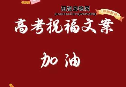 2024加油最火的短句(哪些话能让你更强大)