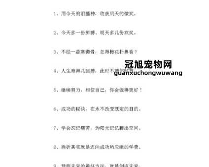 2024加油最火的短句(哪些话能让你更强大)