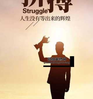 2024流行的正能量(怎样才能用正能量点亮自己的生活)