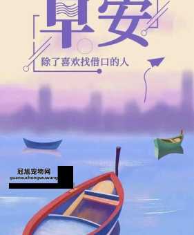 2024流行的正能量(怎样才能用正能量点亮自己的生活)