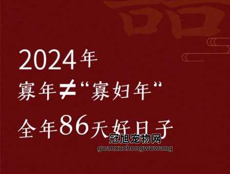 2024年寡妇年的由来(2024年是寡妇年吗)