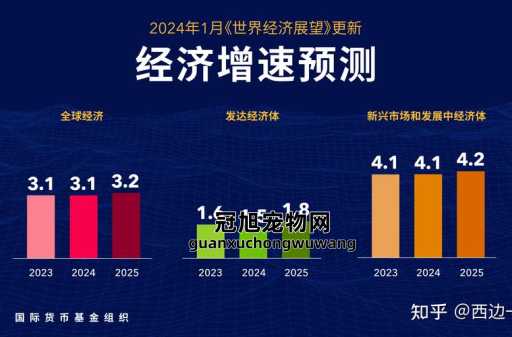 2024年全球经济形势(我们该如何抓住机遇)