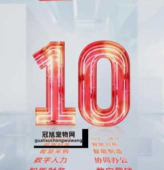 2024年最火的流行语(  2024年有哪些流行语你已经用上了)