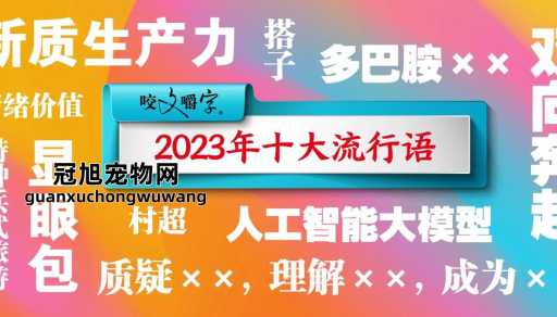 2024年最火的流行语(  2024年有哪些流行语你已经用上了)