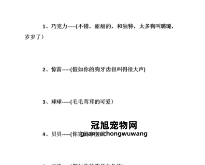 狗狗名字大全 洋气招财男(有什么好选择)