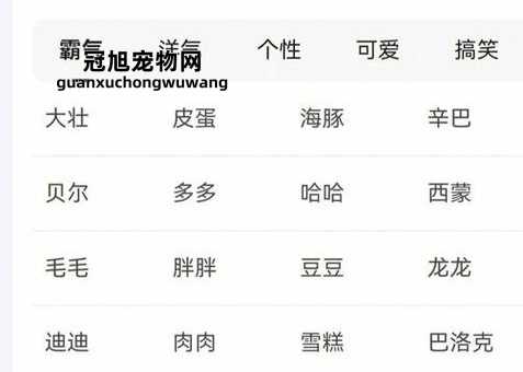 狗狗名字大全 洋气招财男(最好的选择)