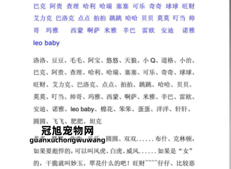适合宠物狗的可爱名字大全(还是叫小淘气好)