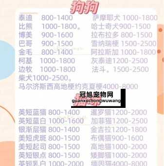 大型宠物狗的品种及价格表(哪些品种性价比高)