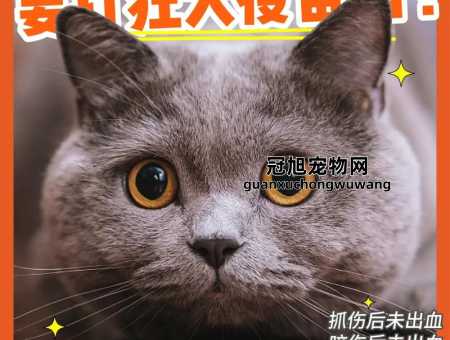 和狗狗玩后感觉自己有伤口(要不要赶紧去打狂犬疫苗)