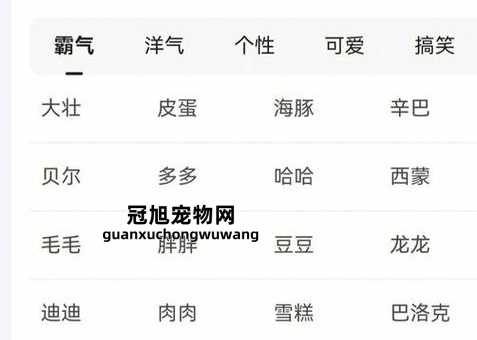 狗狗取特别顺口的名字大全(应该怎么才能让它显得更有个性)