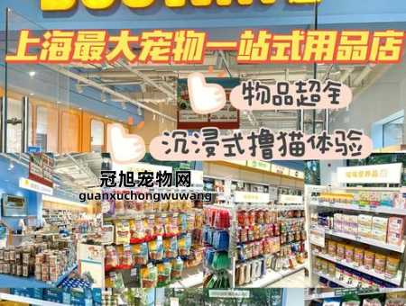 沈阳宠物用品十大批发市场(到底哪个最便宜)