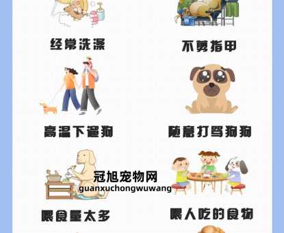 养狗需要注意的事项和细节(它们真的可以独来独往吗)