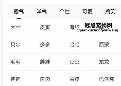 又顺利又有财气的狗狗名字( 什么名字更顺顺利利)