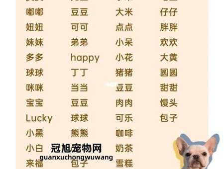 又顺利又有财气的狗狗名字( 什么名字更顺顺利利)