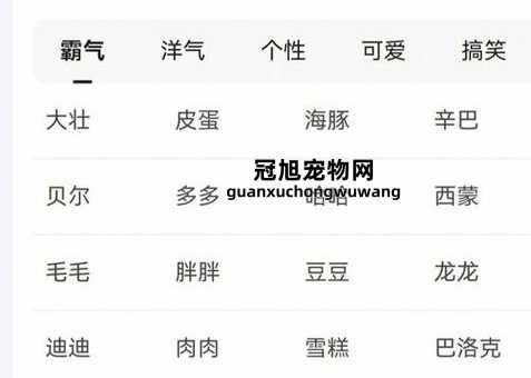 母狗狗名字大全 洋气招财(名字既洋气又招财)
