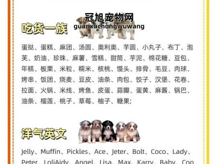 男狗狗好听的独特名字大全(你更喜欢洋气的名字还是传统的)