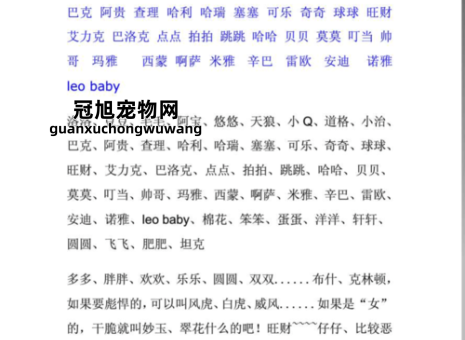 男狗狗好听的独特名字大全(你更喜欢洋气的名字还是传统的)