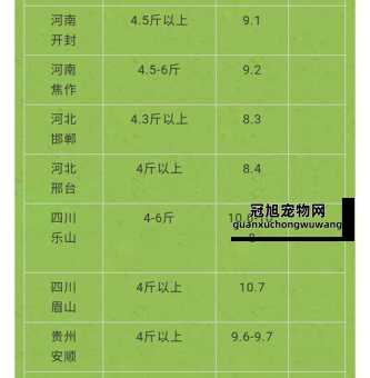 养殖兔子的成本与利润分析(先算算成本和利润吧)