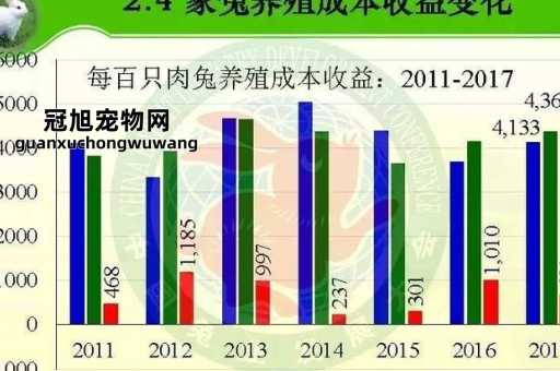 养殖兔子的成本与利润分析(先算算成本和利润吧)