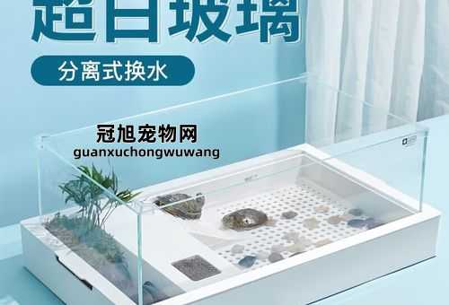 养龟玻璃缸好还是塑料缸好(价格便宜还是美观耐用)