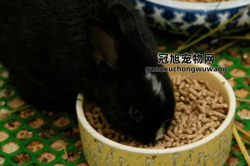 养兔子的十个有九个后悔(呈现不值得拥有的状况)