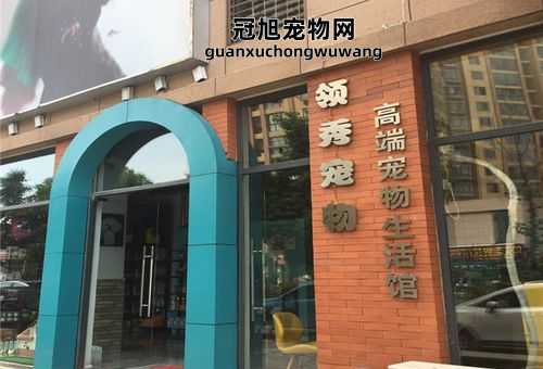 长春有没有领养宠物的地方(比较靠谱的机构)