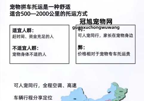 宠物托运流程以及收费标准(选择合适运输方式的方法)