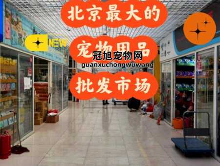 广州宠物用品十大批发市场(值得信赖的市场)
