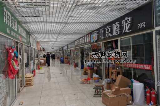 广州宠物用品十大批发市场(值得信赖的市场)