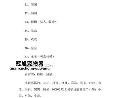 宠物店起名字大全好记招财(这些宠物店名字很好听)