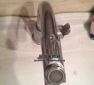 水龙头打开时上面往外冒水(难道是管道堵塞了)