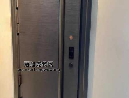 防盗门带不上故障排除技巧(怎么调整才能正常使用)