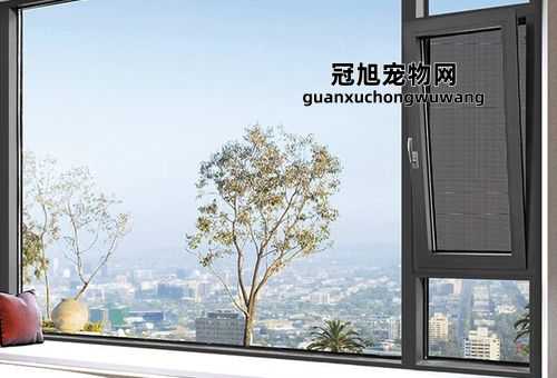 铝合金门和塑钢门谁更耐用(用个十几年都没问题)