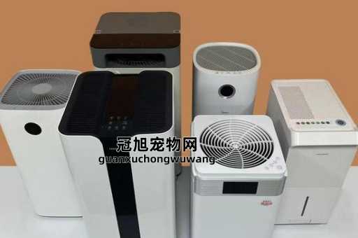 空气净化器到底有没有作用(它能过滤掉所有有害物质吗)