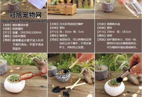 绿化工具的使用和日常养护(  保养有什么技巧)