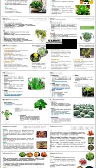 绿化工具的使用和日常养护(  保养有什么技巧)