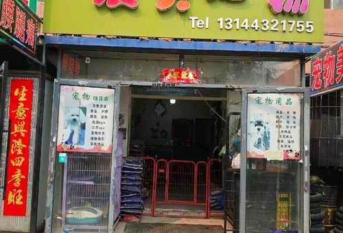 附近宠物店在哪里卖狗狗吗(有卖我喜欢的品种吗)