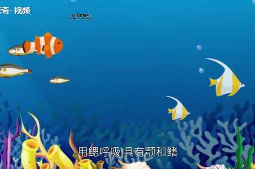 鱼有没有心脏(那为什么很多人会认为鱼没有心脏呢)