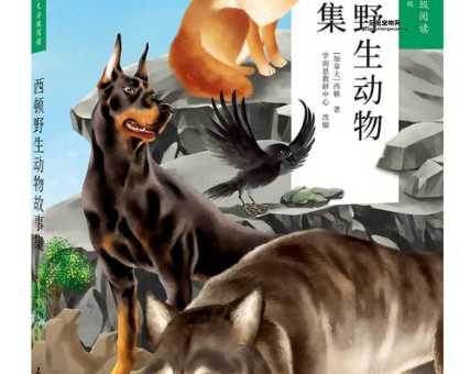 世界珍稀动物(它们的故事你听过吗)